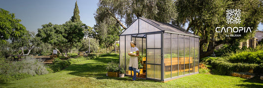 Why Greenhouses Are Essential for Gardening