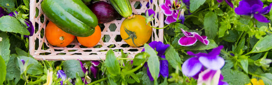 Spring Is in the Air Canada Greenhouse Kits