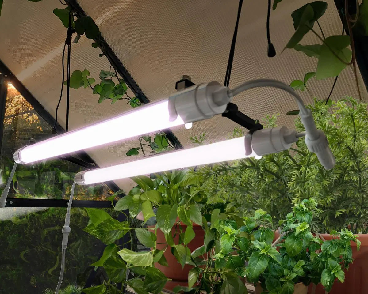 Brighton Full Spectrum LED Grow Light by Palram Canopia