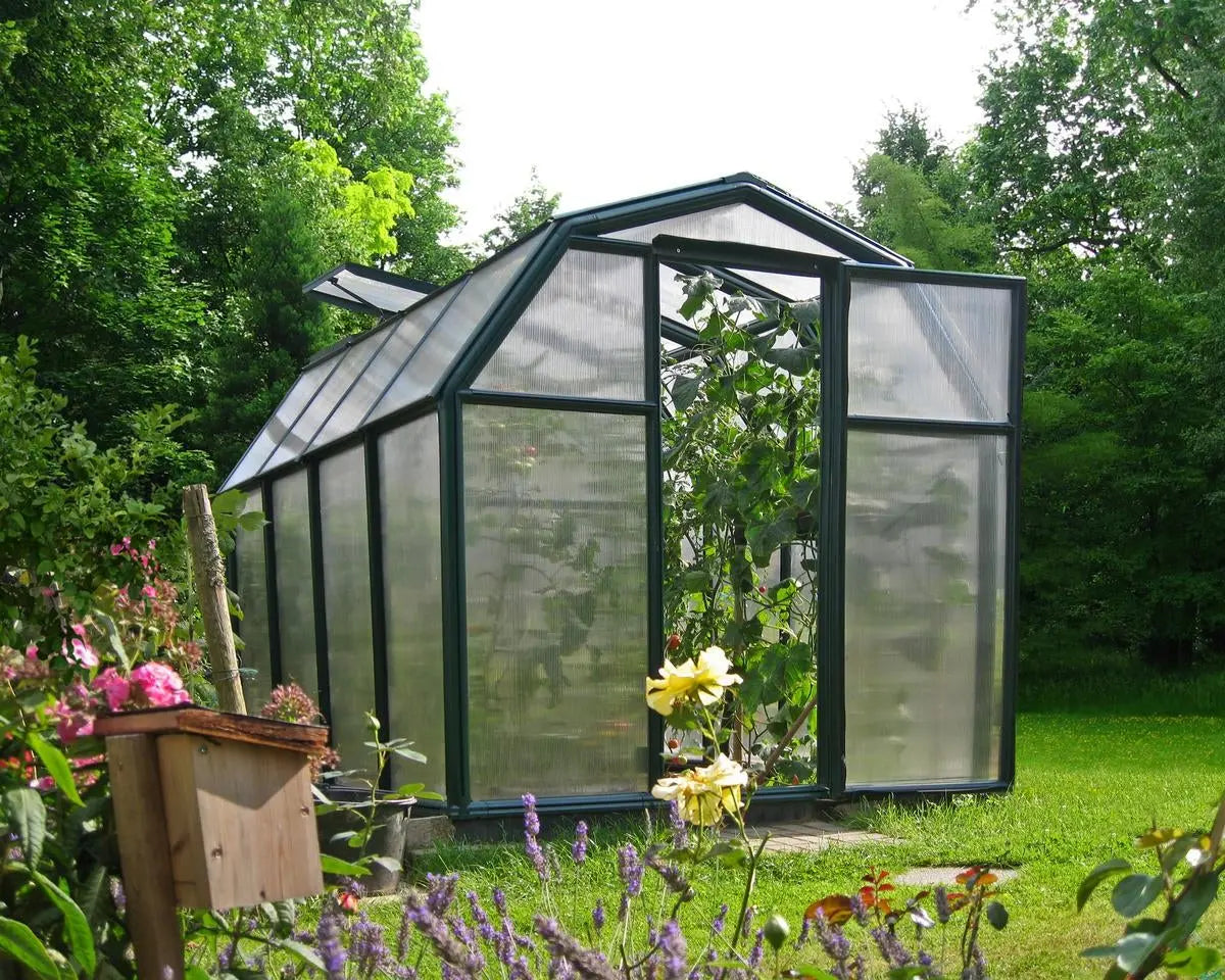 EcoGrow ~6ft. x 8ft Greenhouse Twin-Wall Panels Green Frame | Rion by  Palram-Canopia