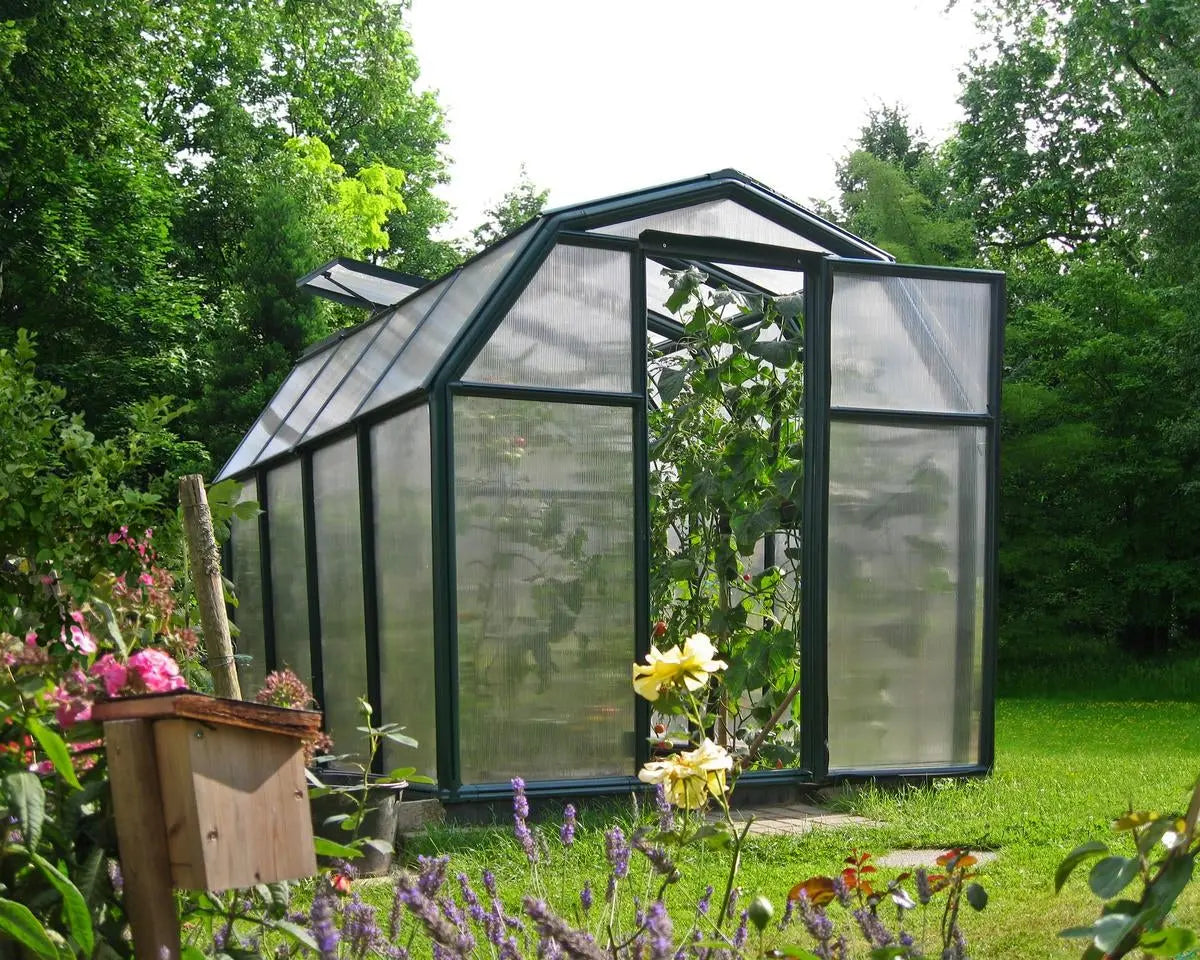 EcoGrow ~6ft. X 8ft Greenhouse Twin-Wall Panels Green Frame | Rion By ...