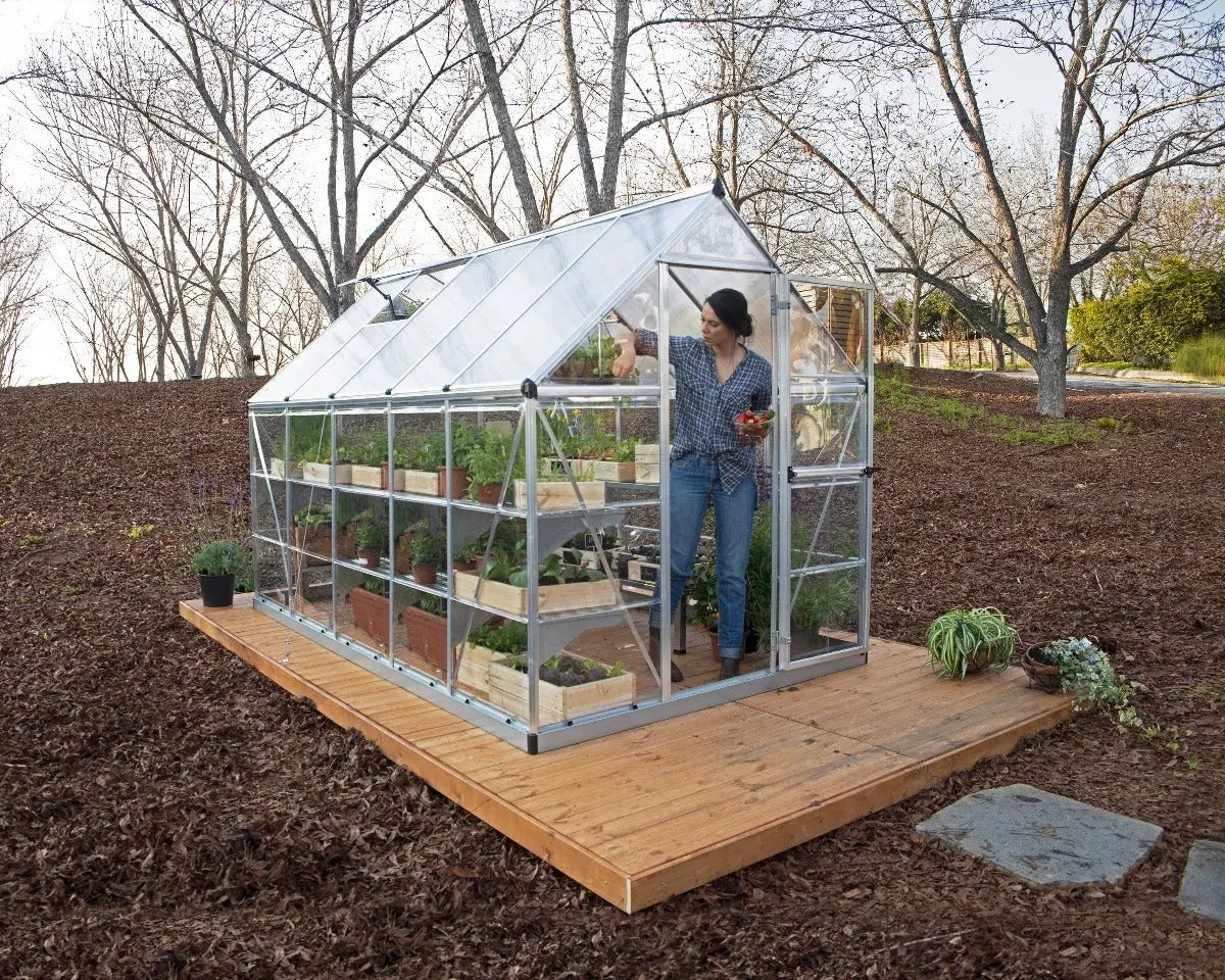 Hybrid™ 6 ft. x 10 ft. Greenhouse Clear & Twin Wall Silver Frame |  Palram-Canopia